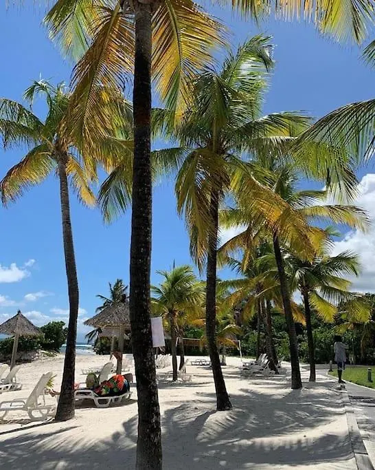 Tropic Appartements Village Vacances Vue Mer Guadeloupe St Anne 상트 안느 아파트