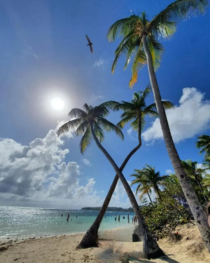 Apartment Tropic Appartements Village Vacances Vue Mer Guadeloupe St Anne Sainte-Anne