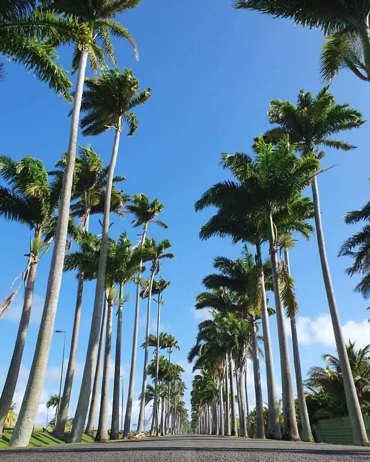 Tropic Appartements Village Vacances Vue Mer Guadeloupe St Anne Sainte-Anne  Guadeloupe