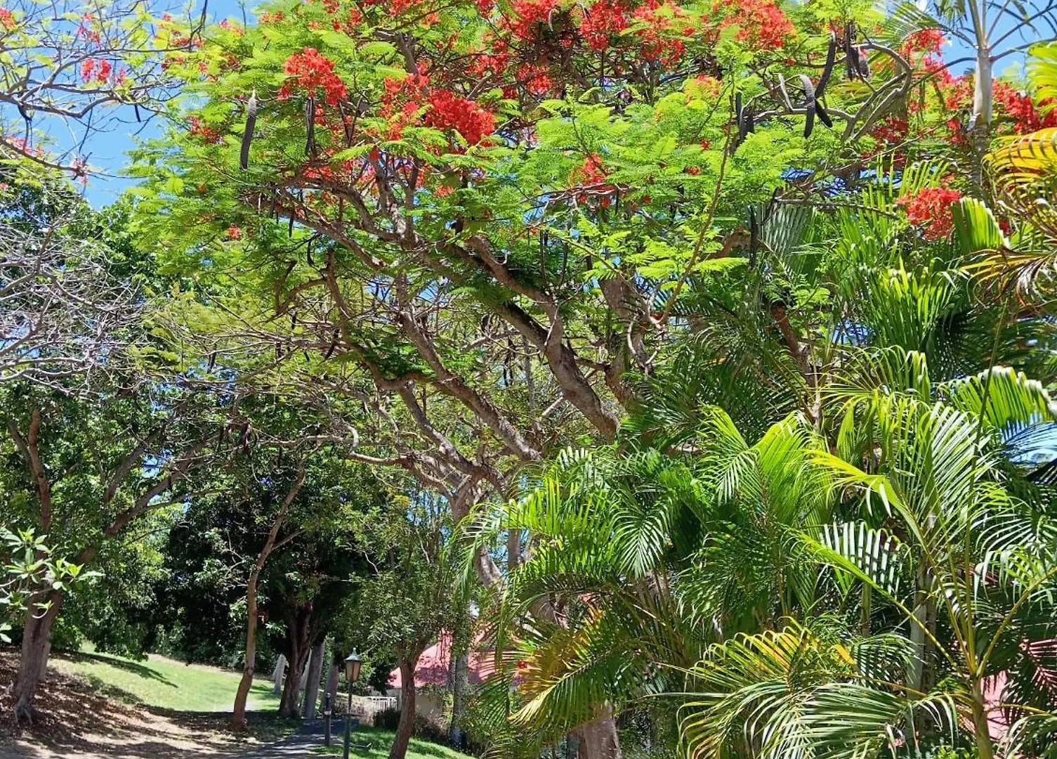 Tropic Appartements Village Vacances Vue Mer Guadeloupe St Anne Sainte-Anne  Apartment